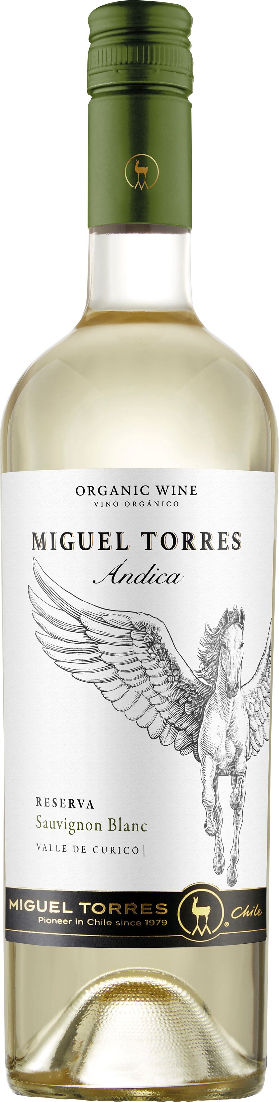 Andica 2022 Miguel Reserva - Torres Sauvignon Chile Blanc l 0.75